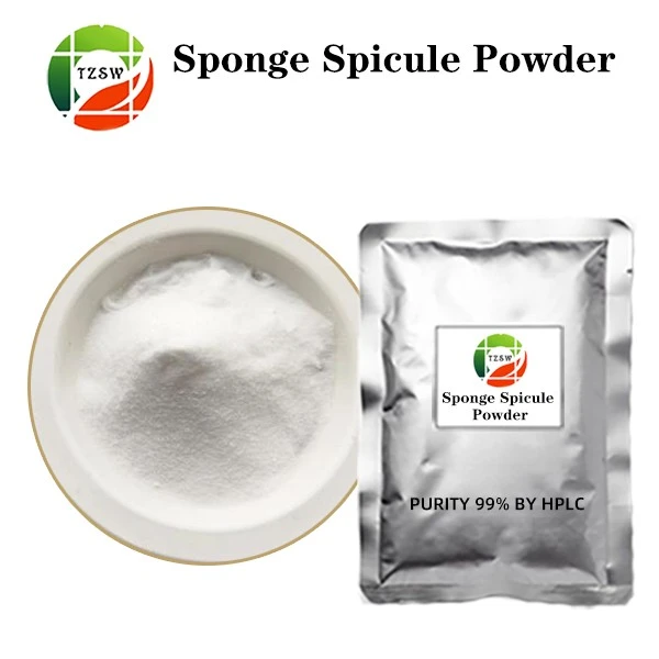 Best Sponge Spicule Powder suppliers