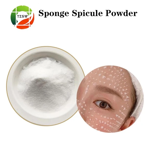 product-600-600 product-600-600